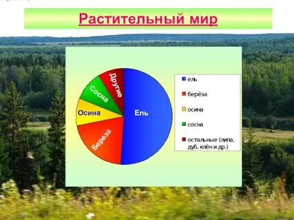Мир удмуртия