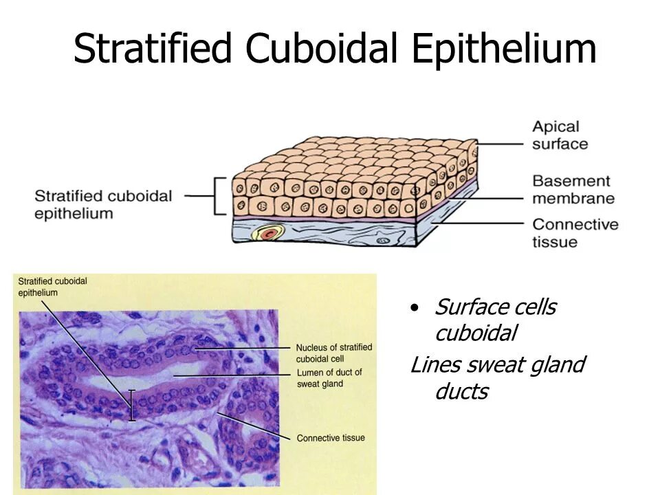 Surface definition