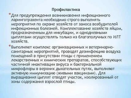 Ларинготрахеит рекомендации