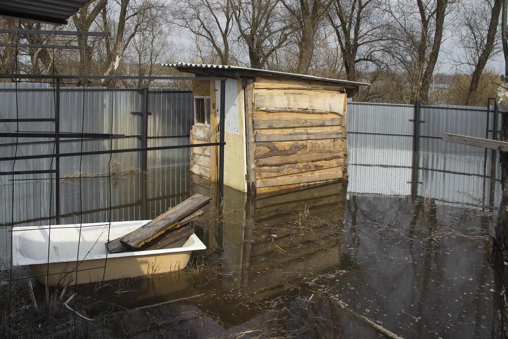 Река болва уровень воды. Дом у реки. Река Болва Брянск Бежица. Затопленный дом. Затопление дома.