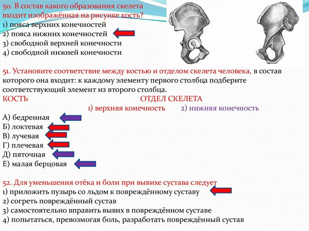 В состав какого образования скелета входит изображённая на рисунке. В состав какого скелета входит изображённое костное образование. Установи соответствие между костями и отделами. Соответствие между костями и отделами скелета. Установить соответствие кости скелета человека