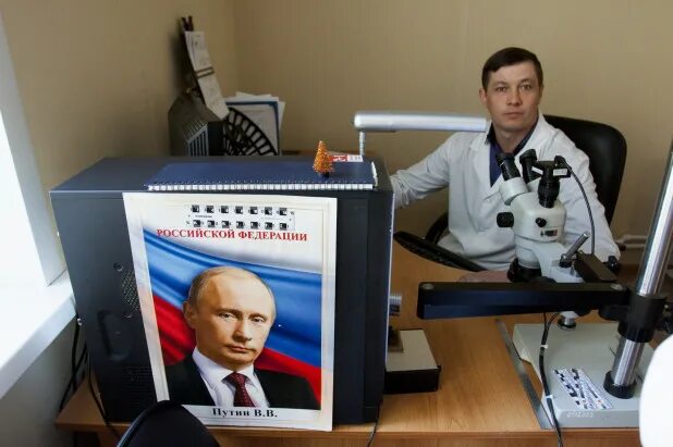 Мурманск судебно-медицинская экспертиза. Судмедэксперт белгород. Медико-криминалистическое. Климанов дмитрий владимирович судебно-медицинский эксперт. Судмедэксперт волгоград.