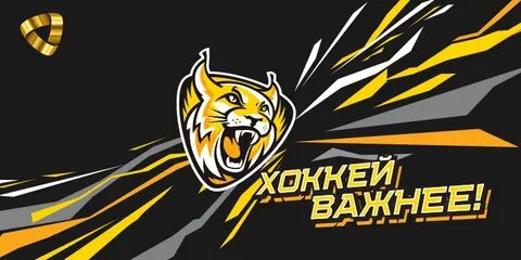 Kot severstal