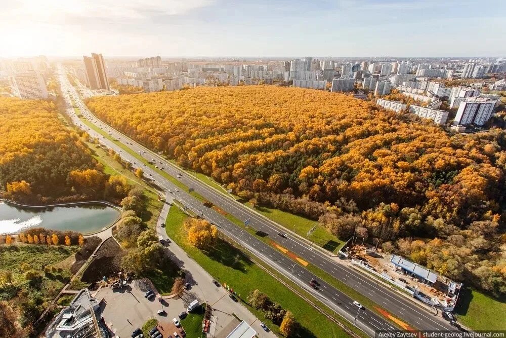 Марьино Воробьевы горы. Снимки с коптера Москва Тропаревский лесопарк. Район Вешняки Москва. Вешняки район Москвы осень.