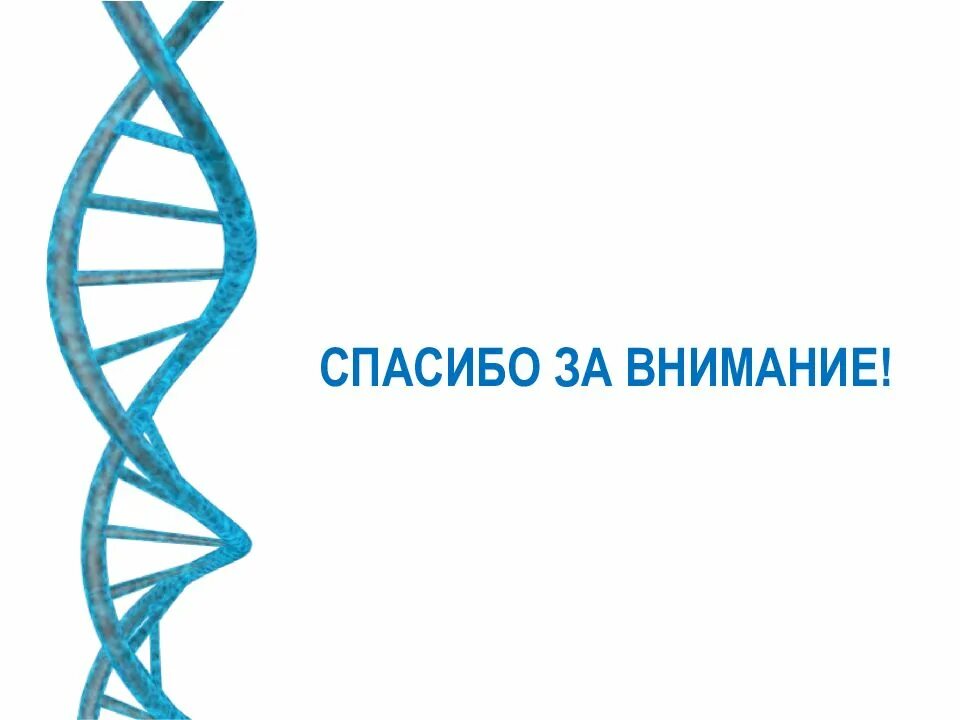Сайт москва днк. Спасибо за внимание ДНК. ДНК. Спасибо за внимание для презентации ДНК. Презентация на тему ДНК.