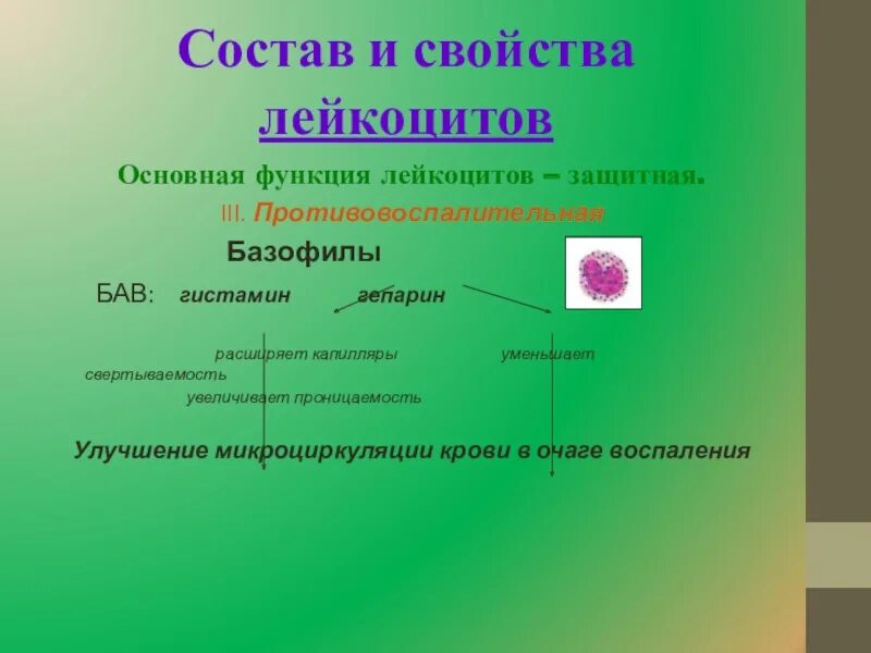 1 функции лейкоцитов. Одним из основных свойств лейкоцитов является:. Лейкоциты состав и функции. Основное свойство лейкоцитов. Функции лейкоцитов в крови.