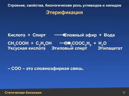 Сн 2.02 05 2020