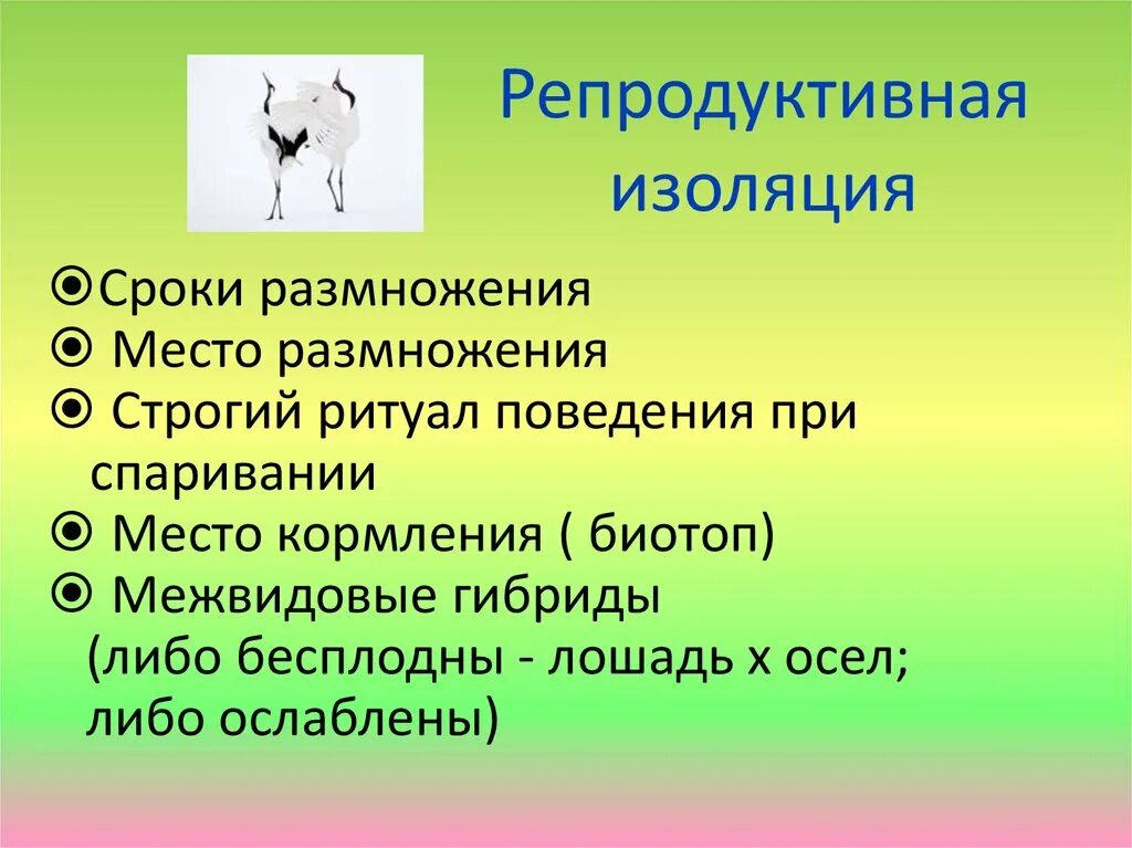 Результат ослабления репродуктивной изоляции между видами. Репродуктивная изоляция. Репроодуктивная тзоояуия.. Реподруктивеая ищолчцм. Репродуктивная изоляция примеры.