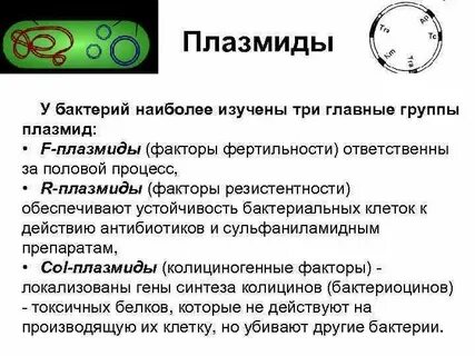 Свойства плазмиды бактерий
