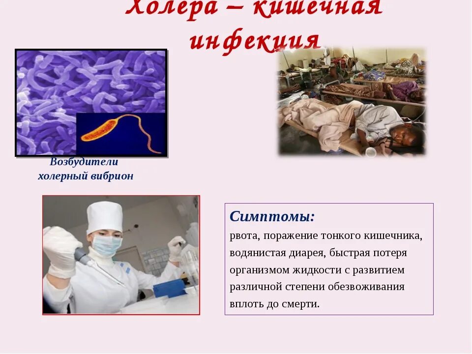 Холера передается воздушно капельным путем. Причины болезни холерный вибрион. холерный вибрион заболевания пути заражения. холера механизм и пути передачи. холера пути передачи инфекции.