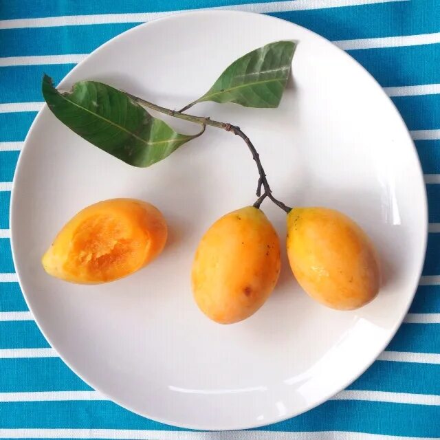 Мини манго фрукт. Манго желтые мини. Фрукты Тайланда маленькие манго. Мини манго Колумбия.