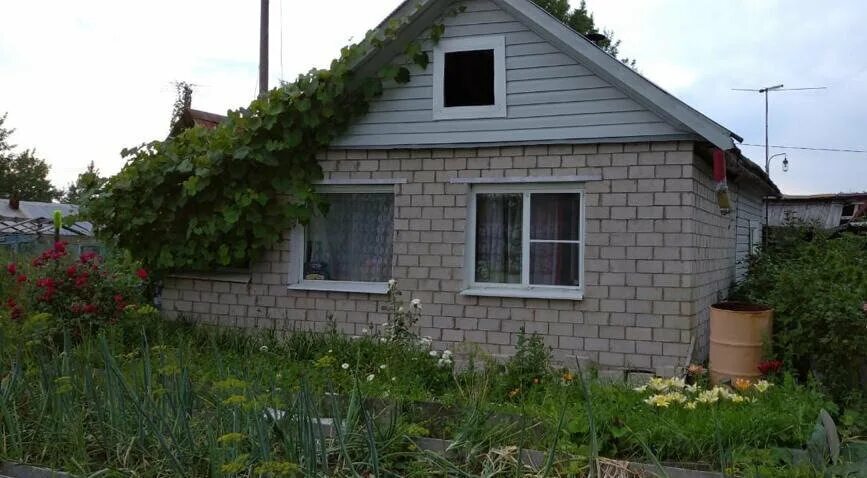 панковка великий новгород. панковка великий новгород. панковка пгт великий новгород. панковка великий новгород. панковка новгородская.