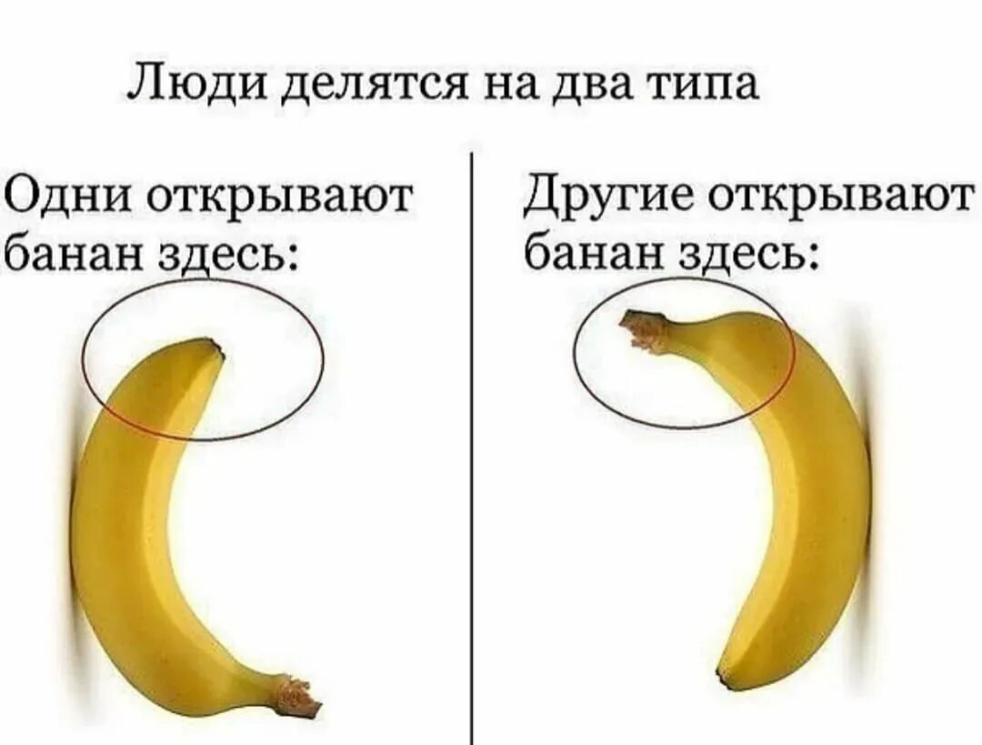 У нее есть два типа. Интересные факты о бананах. банан прикол. как правильно чистить банан. люди делятся на два типа.