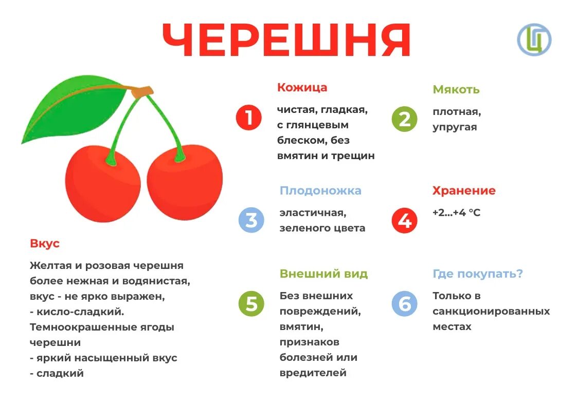 Польза черешни. Как выбрать черешню. Строение черешни. Черешня польза. Строение ягоды черешни.