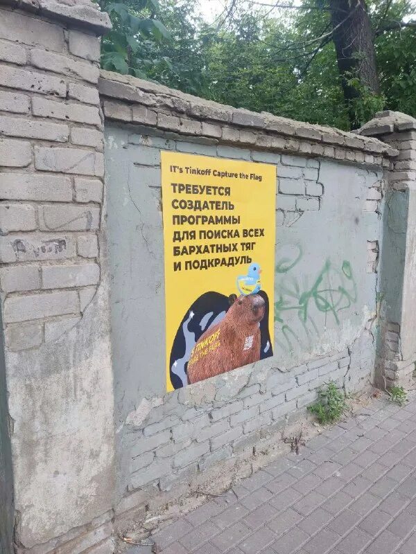 В воронеже замечен