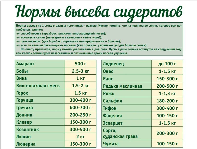 Люцерна урожайность с 1. Норма высева люцерны. Расход семян люцерны на 1 сотку. Норма высева эспарцета на гектар. Норма высева семян люцерны.