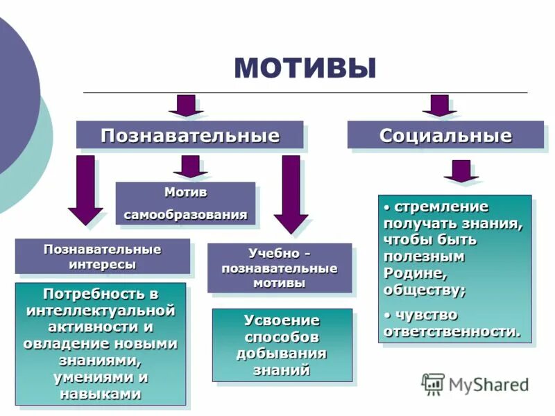 Какие мотивы вашей учебной деятельности почему