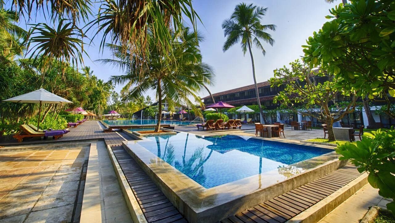 Бентота, бентота. Joes resort bentota 4 шри ланка. Avani bentota resort spa 5 шри ланка. Бентота, бентота. Club bentota 4 шри-ланка.