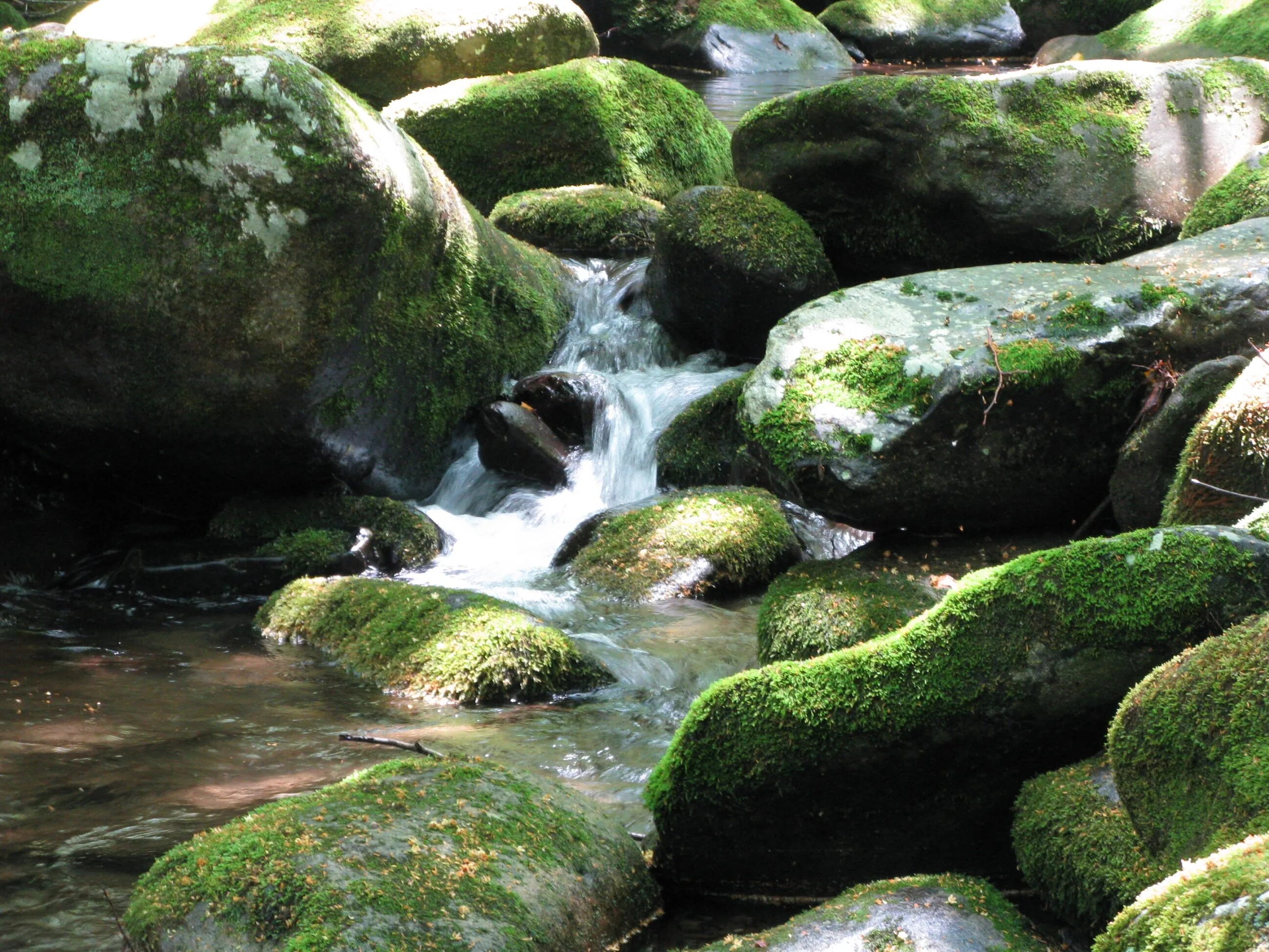 Nature is calling. Мох в воде. Ручей водопад. Ручей мох камни. Водопад камни.