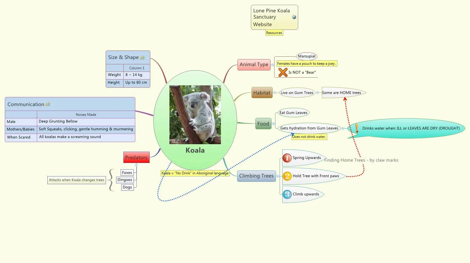 Mind mapping: создание интеллект-карты. Ментальная карта эмоции. Октопус ментальные карты. Октопус ментальные карты. Mind map ментальная карта интеллект карта.