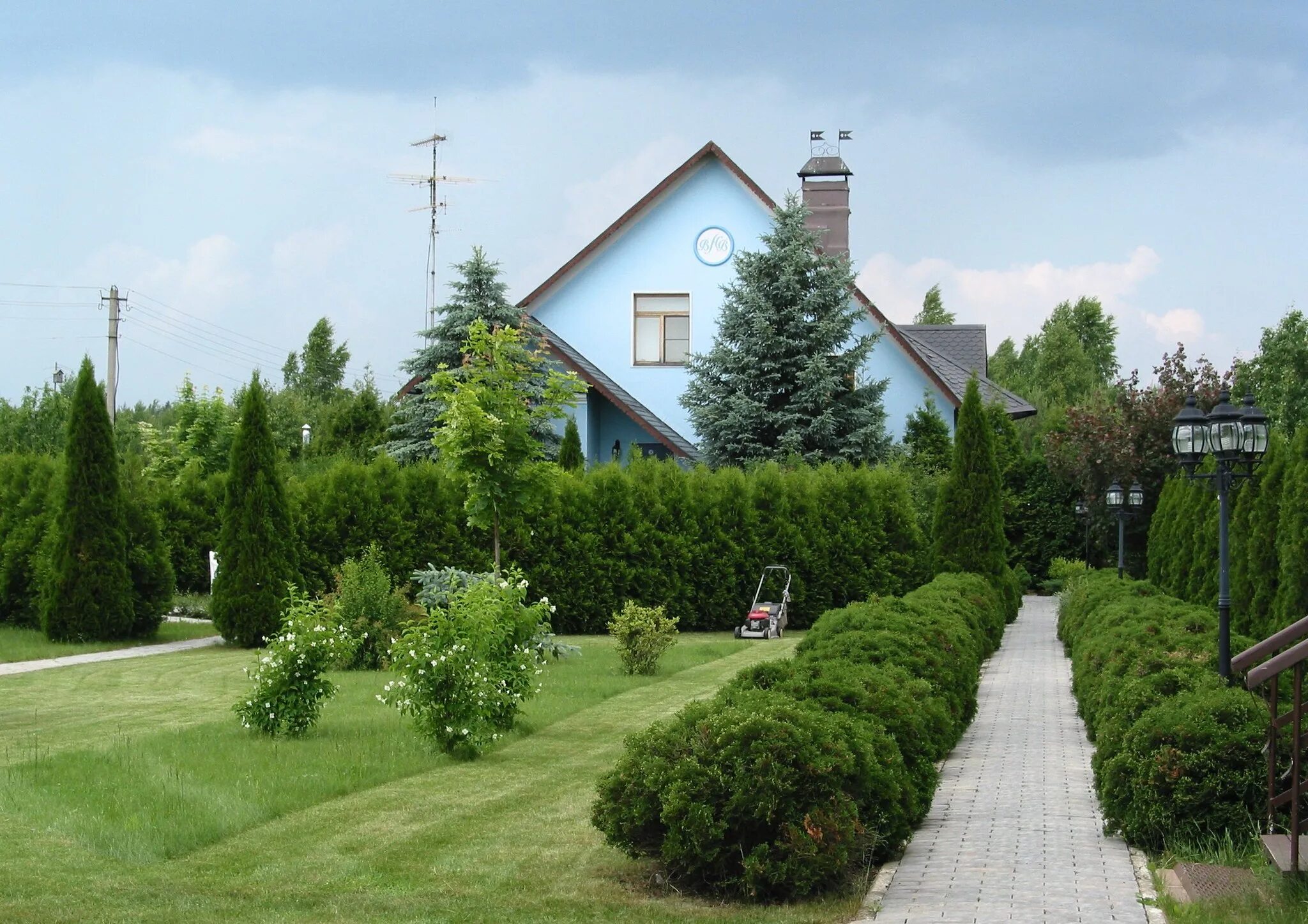 Хвойно Лиственная Живая изгородь. Хелен парк+ ландшафт. Живая изгородь Хвойная. Туя Брабант забор.