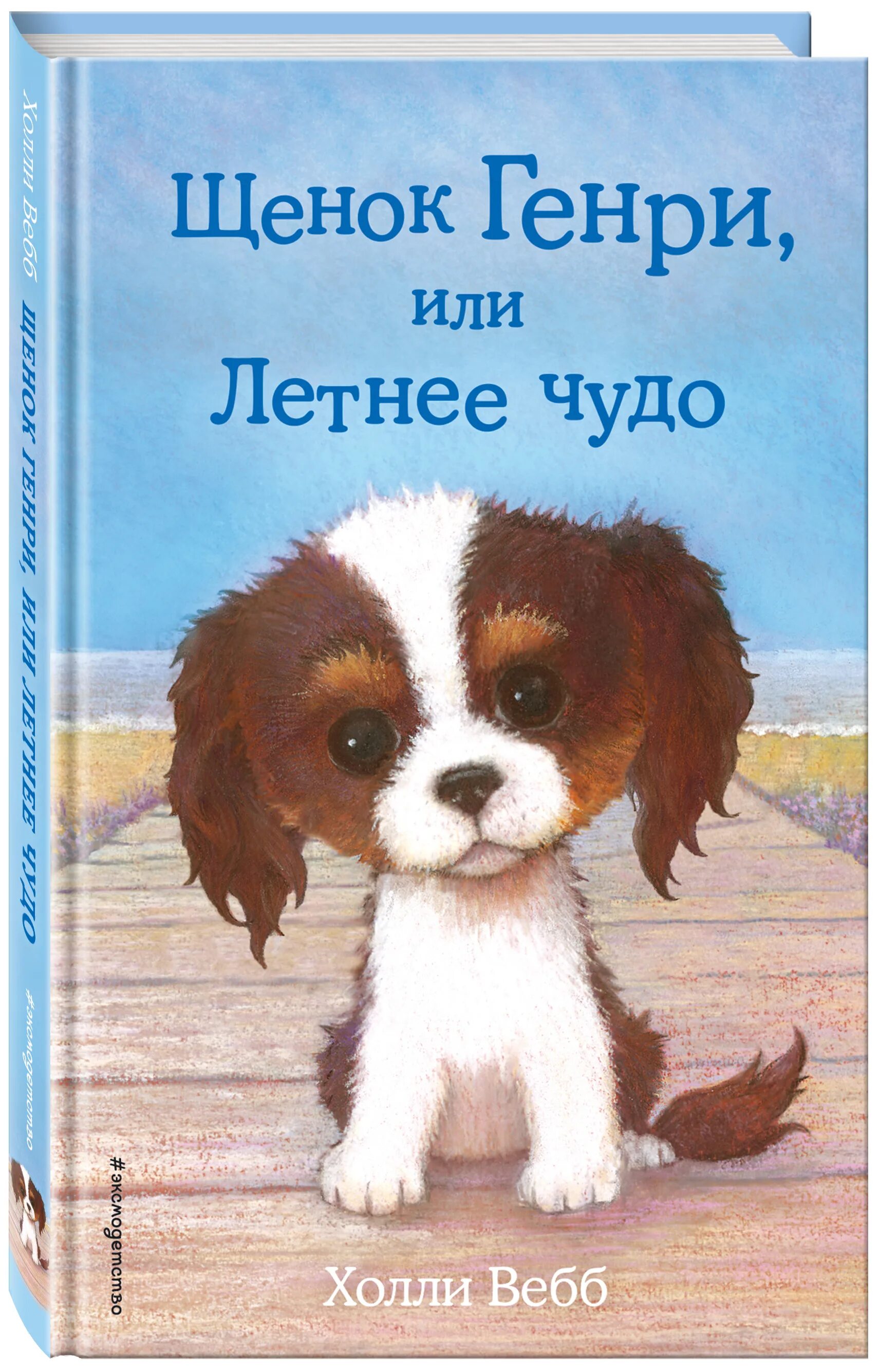 Книга щенок. Холли вебб щенок генри или летнее чудо. щенок генри или летнее чудо холли вебб книга. книга щенок генри. холли вебб про собак.