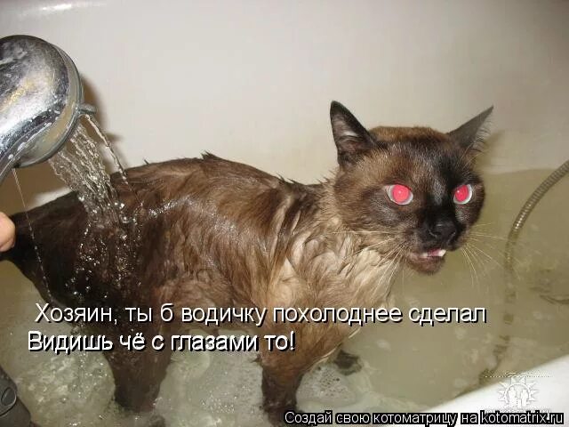 Всем кто смотрит мои статусы. Восриятиев психологии. Перемены в жизни. Мемы которые понравятся девушке. Перемены к лучшему.