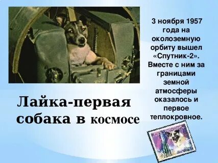 4 ноября 1957