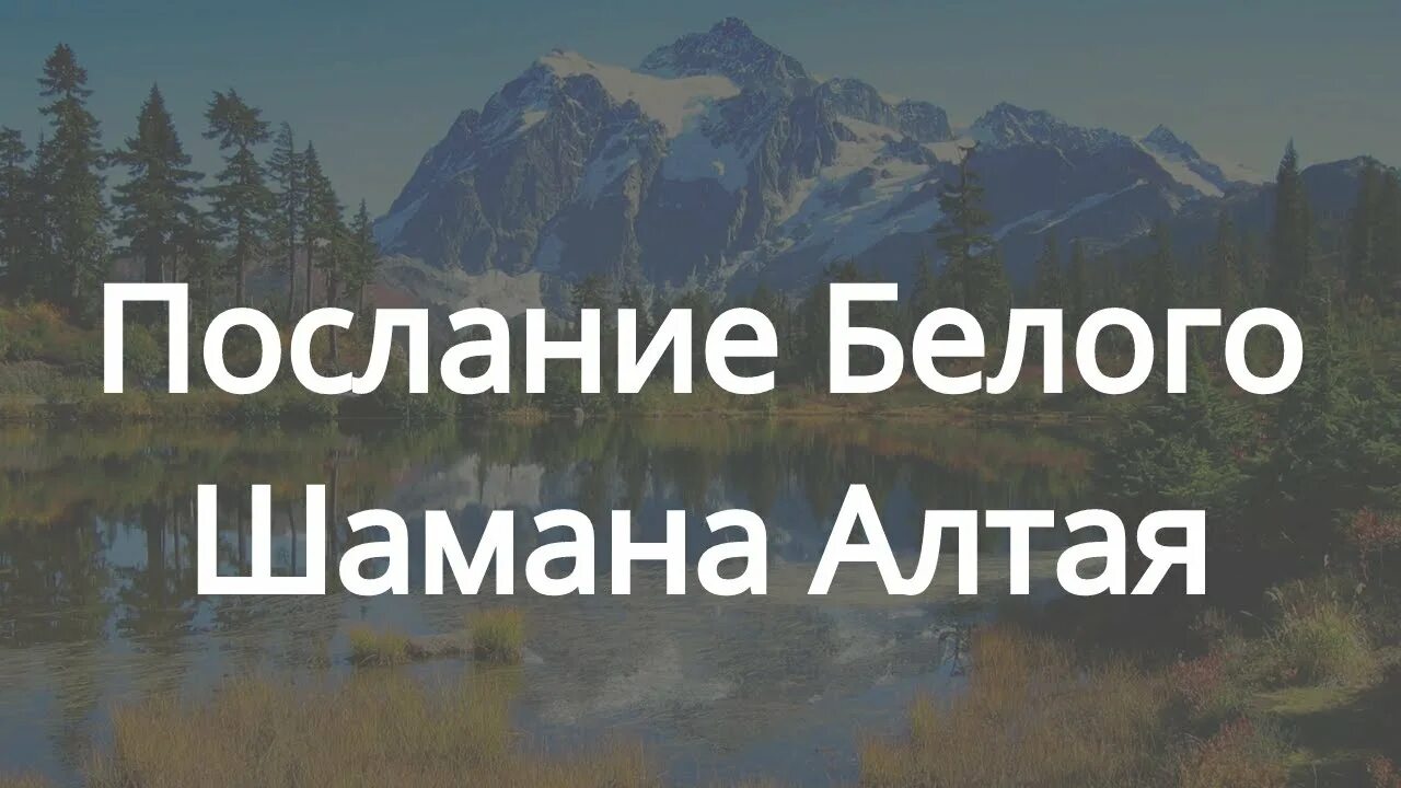 Белый шаман Алтая. Пойген белый шаман. Песня белого шамана