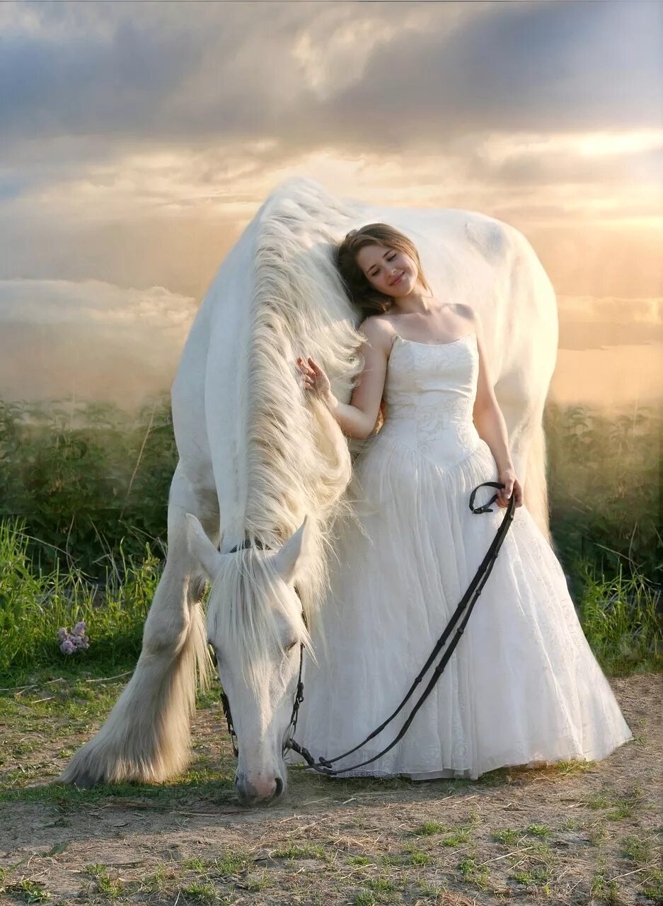 К чему снится красивые длинные. Девушка с белым конем. Фотосессия с белой лошадью. Девушка и белая лошадь. Фотосессия на лошади в свадебном платье.