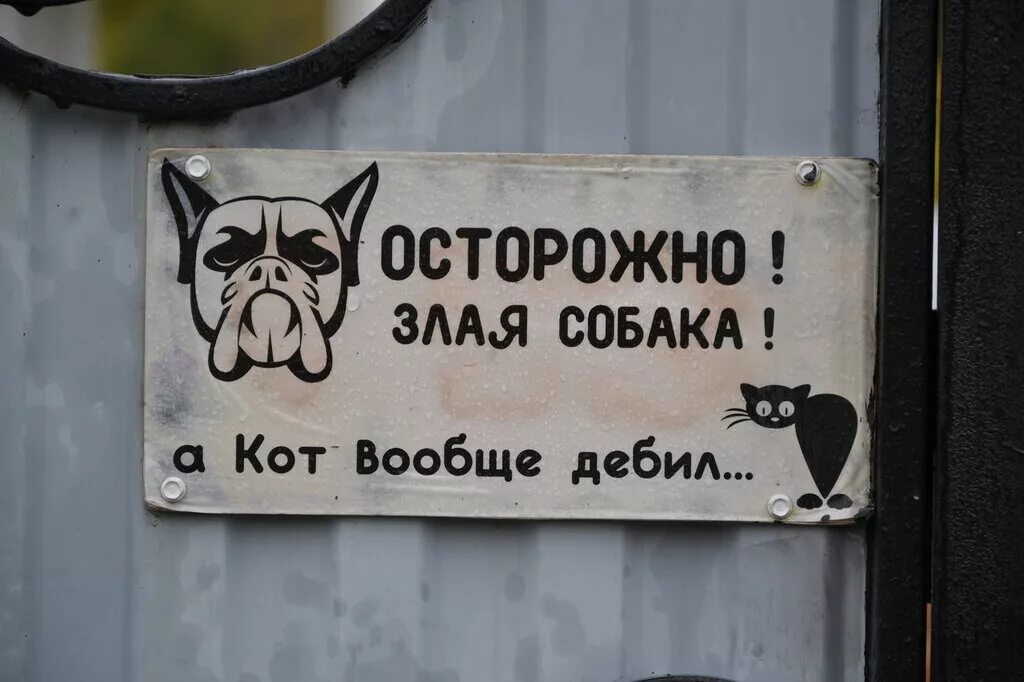 осторожно злая собака а кот. осторожно злая собака а кот вообще дебил табличка. осторожно злая собака а кот вообще. злая собака а кот вообще дебил. злая собака а кот вообще дебил.
