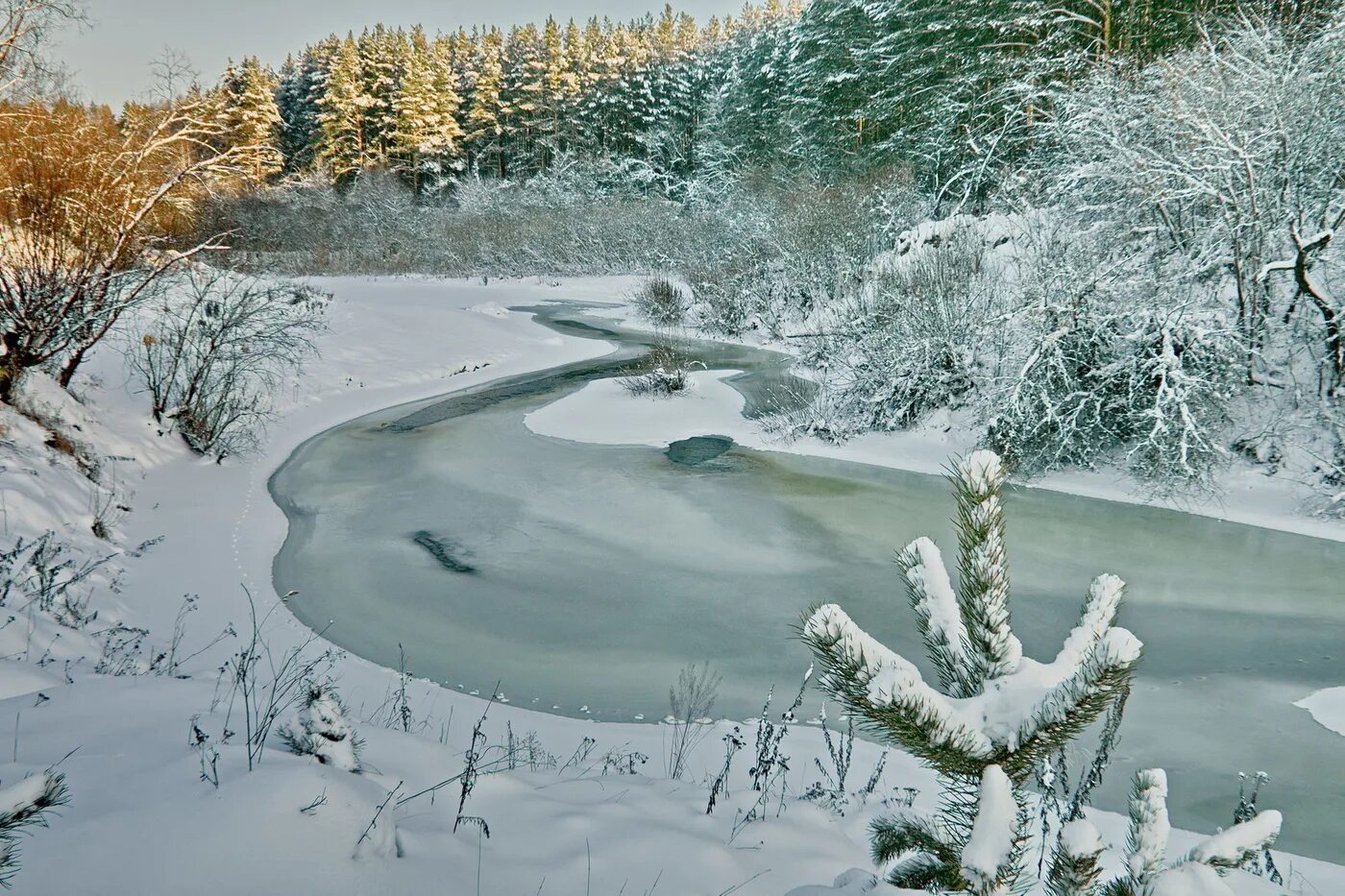 Зима началась. С началом зимы. Наступила зима. Природа в Омской области зимой.