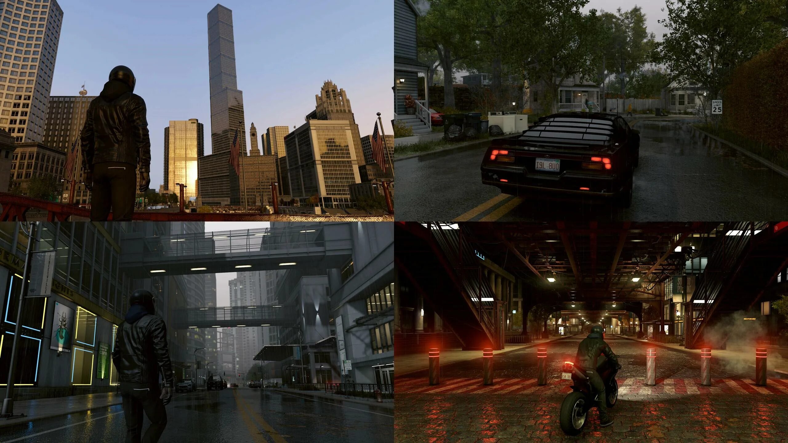 Watch dogs living city