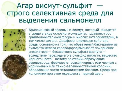 Кал после приема висмута