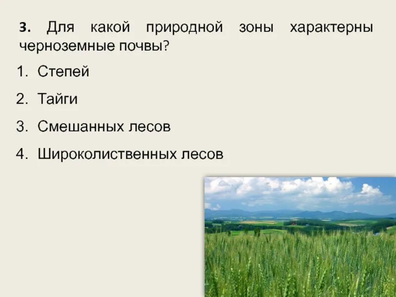 Чернозём природная зона. Черноземные почвы природная зона. Чернозёмные почвы характерны для природной зоны. Черноземные почвы характерны. Типы почв характерны для смешанных лесов