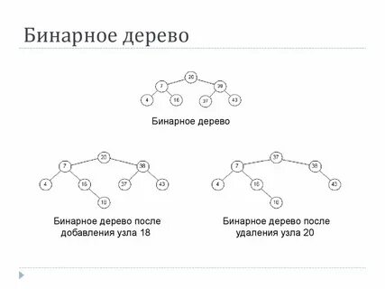 Удаление бинарного дерева