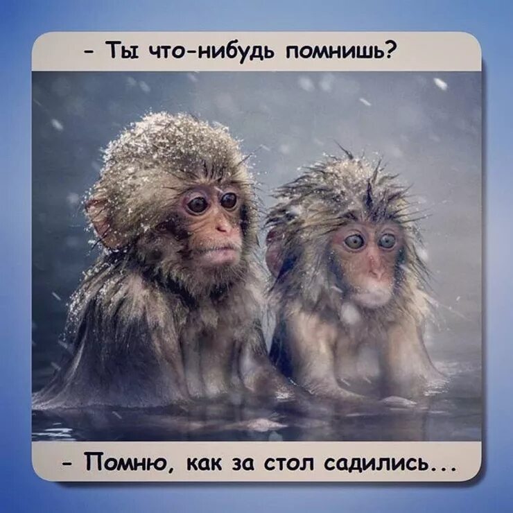 Британские учёные приколы. Ты что нибудь помнишь картинки. Че нибудь картинка. Прикольный анекдот на ночь. Ты что нибудь помнишь.