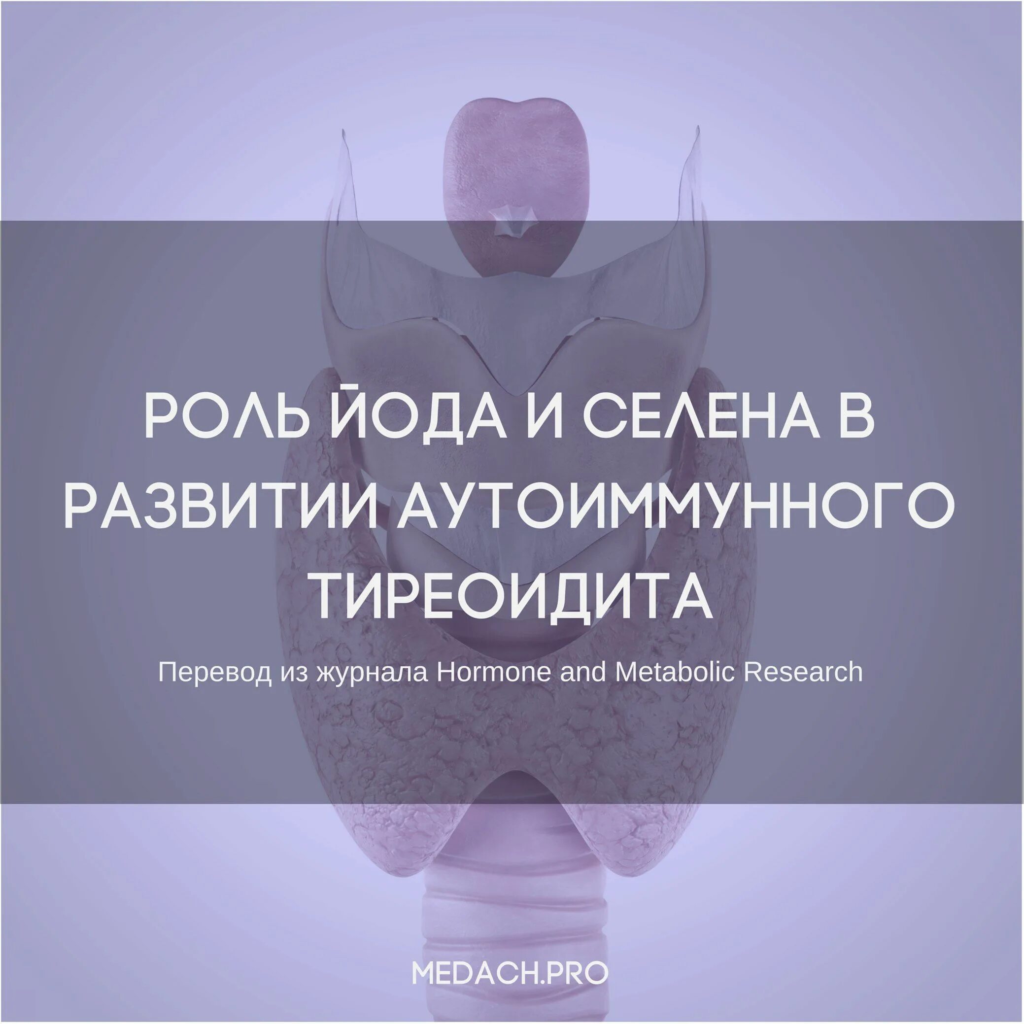 Психосоматика узлов щитовидной железы. Психосоматика аутоимунноготериоидита. Тиреоидит психосоматика. Психосоматика АИТ щитовидной железы. Аутоиммунные заболевания щитовидной железы психосоматика.