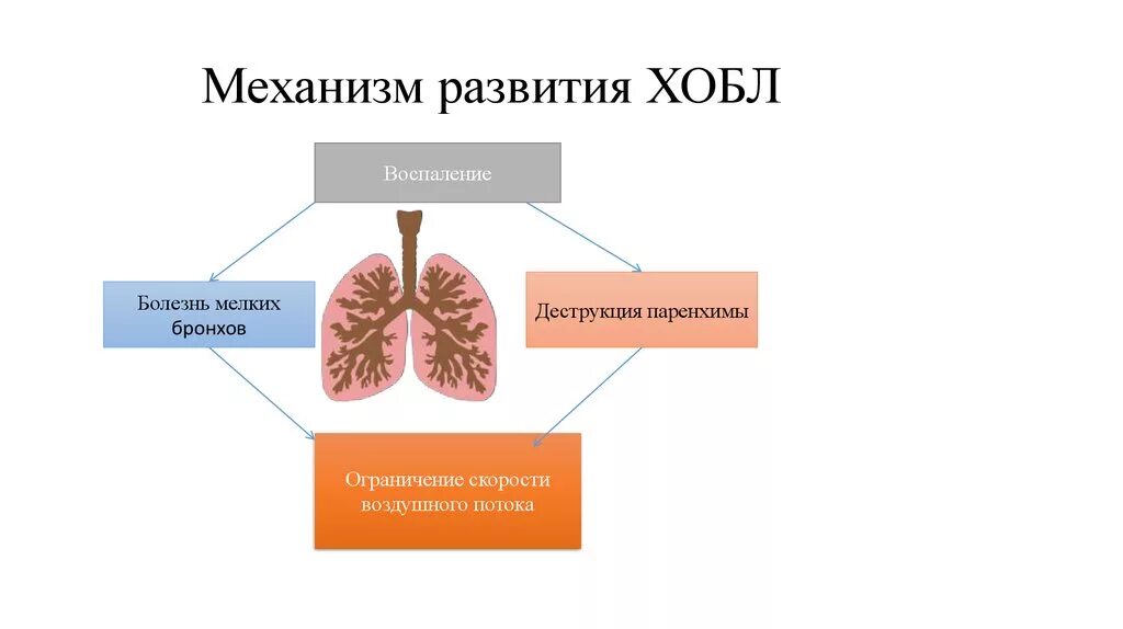 Хроническая обструктивная болезнь легких. Хроническая обструктивная болезнь легких этиология. Хроническая обструктивная болезнь лёгких этиология. ХОБЛ механизм формирования. Полость заболевания легких