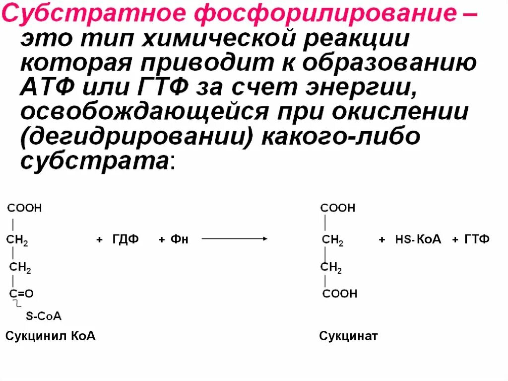 Субстратное фосфорилирование в гликолизе. Субстратное фосфорилирование характеристика. реакции субстратного фосфорилирования, протекающие при гликолизе. 5 реакция субстратное фосфорилирование. примеры реакций субстратного фосфорилирования.