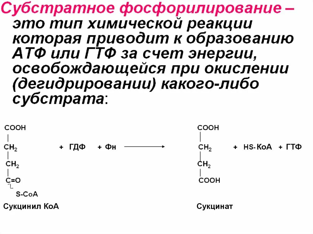 Характеристика субстратного фосфорилирования. Реакции субстратного фосфорилирования, протекающие при гликолизе. 5 Реакция субстратное фосфорилирование. Примеры реакций субстратного фосфорилирования.