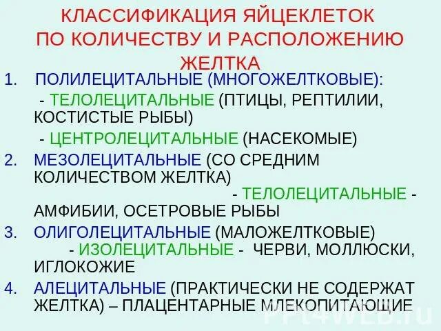 Картинки КАКИЕ СУЩЕСТВУЮТ ТИПЫ ЯЙЦЕКЛЕТОК