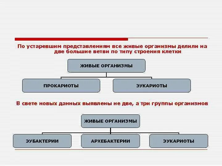 Организмы делятся на. Живые организмы подразделяют на. На какие группы делятся живые организмы. Все живые организмы подразделяются на две. Питание делится на группы