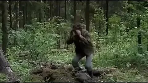 Тайга бандиты