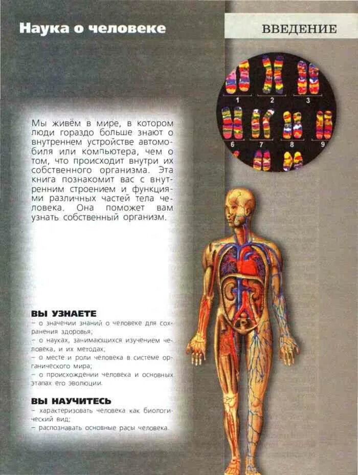 Учебник по биологии 8 класс пасечник читать. Убечник по биологии 8 класс. Биология 8 пасечник учебник. 8 класс. Биология 8 класс учебник пасечник размножение.