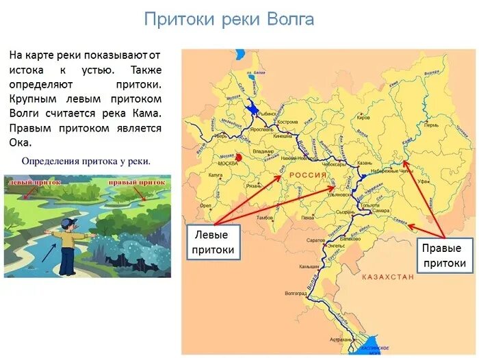 Карта реки Волги с притоками. Кама и Ока притоки Волги. Схема Речной системы реки Волга. Река Волга с притоками на карте России.