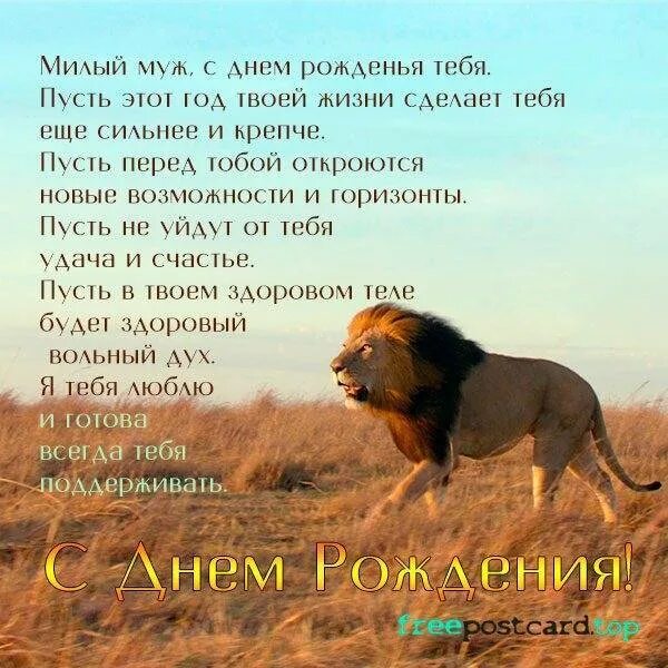 С днем рождения мужчине льву. Поздравление для льва. с днём рождения мужчине лев. открытка с днём рождения мужчине со львом. картинки с днем рождения мужчине льву.