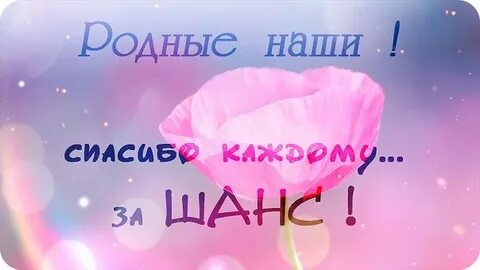 Сборе спасибо