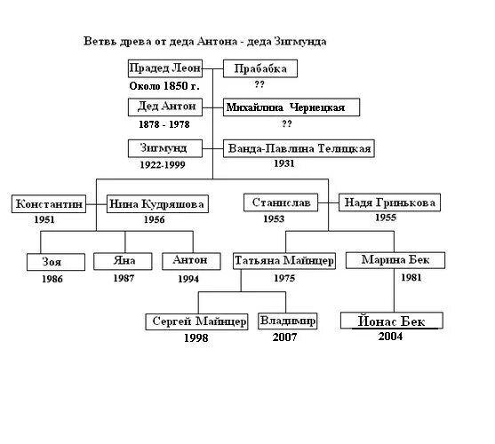 Ветвь родословной. Родословная ветка. Родословная Деда Мороза. Родословная Деда Мороза и Снегурочки. Внучатый племянник это кто простыми