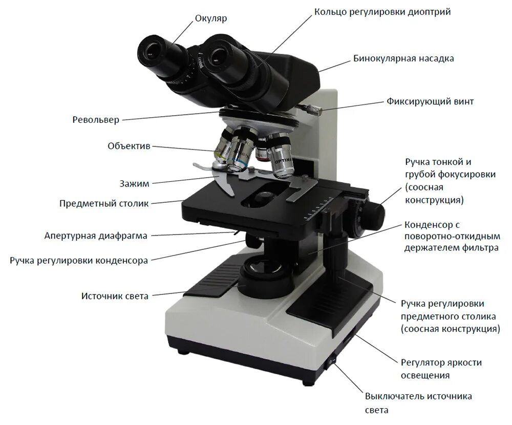 Как называются части цифрового микроскопа. Цифровой микроскоп бинокулярный (с камерой). Строение бинокулярный микроскоп Микмед 5. Строение микроскопа Микмед 5. Строение микроскопа Микромед-1.